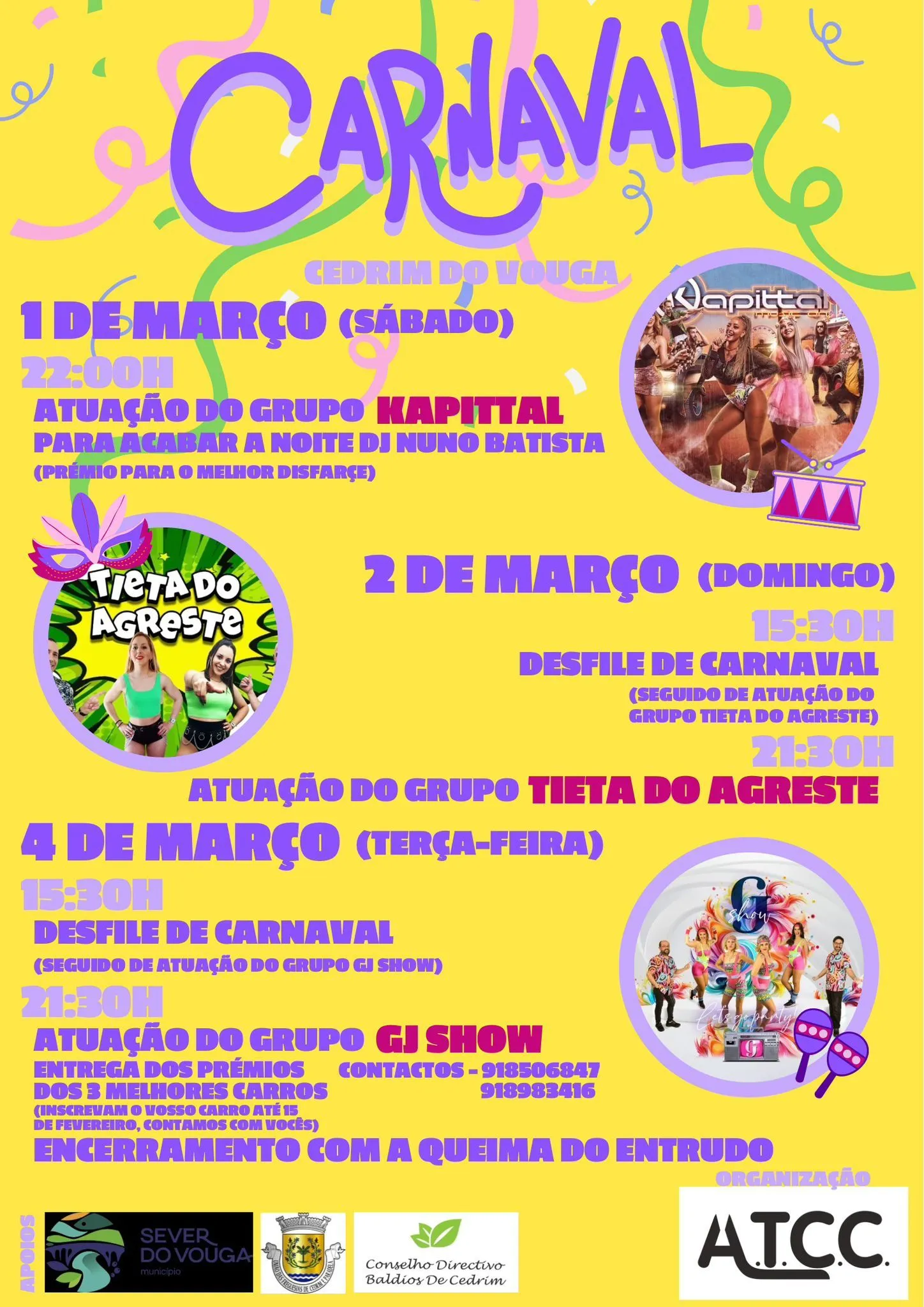 Carnaval de Cedrim do Vouga 2025